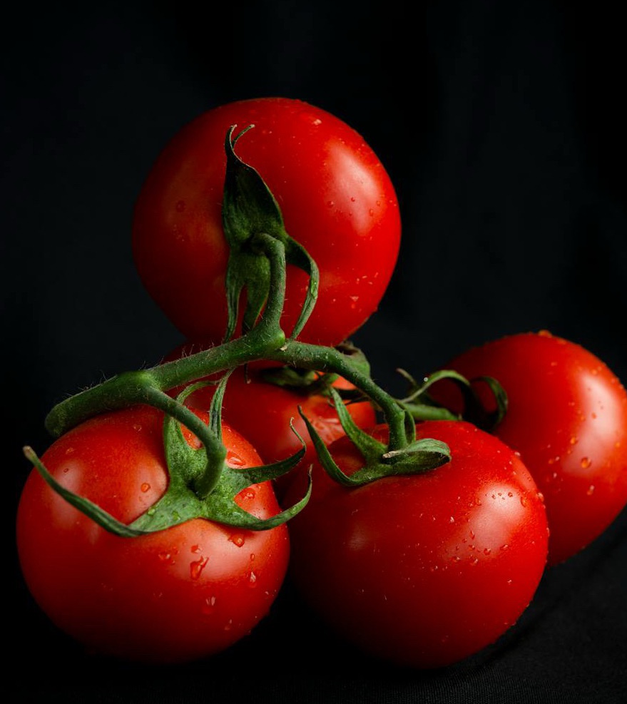 AIP 90 Day Update –&nbsp;Reintroduction